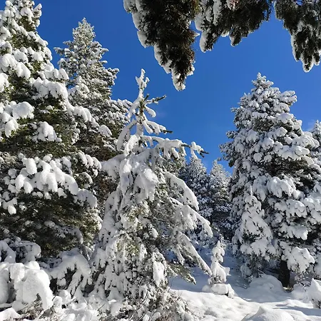 Bois Vieux Cerf 12 Pers Proche Centre Alpehytte