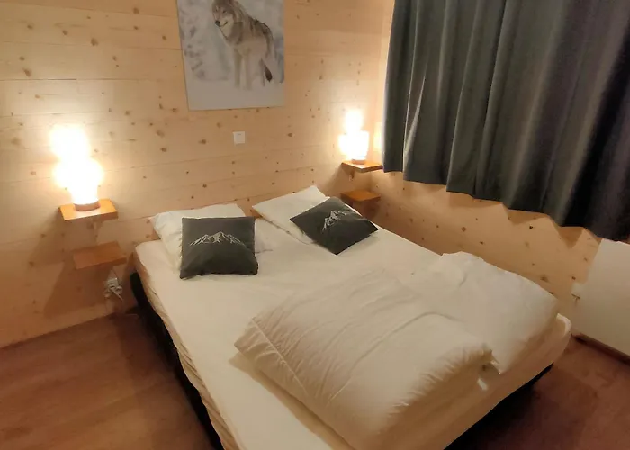 Bois Vieux Cerf 12 Pers Proche Centre * Font-Romeu-Odeillo-Via